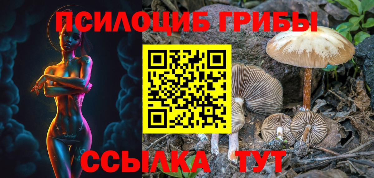 Унеча  Галлюциногенные грибы Cubensis  Вход с VPN 